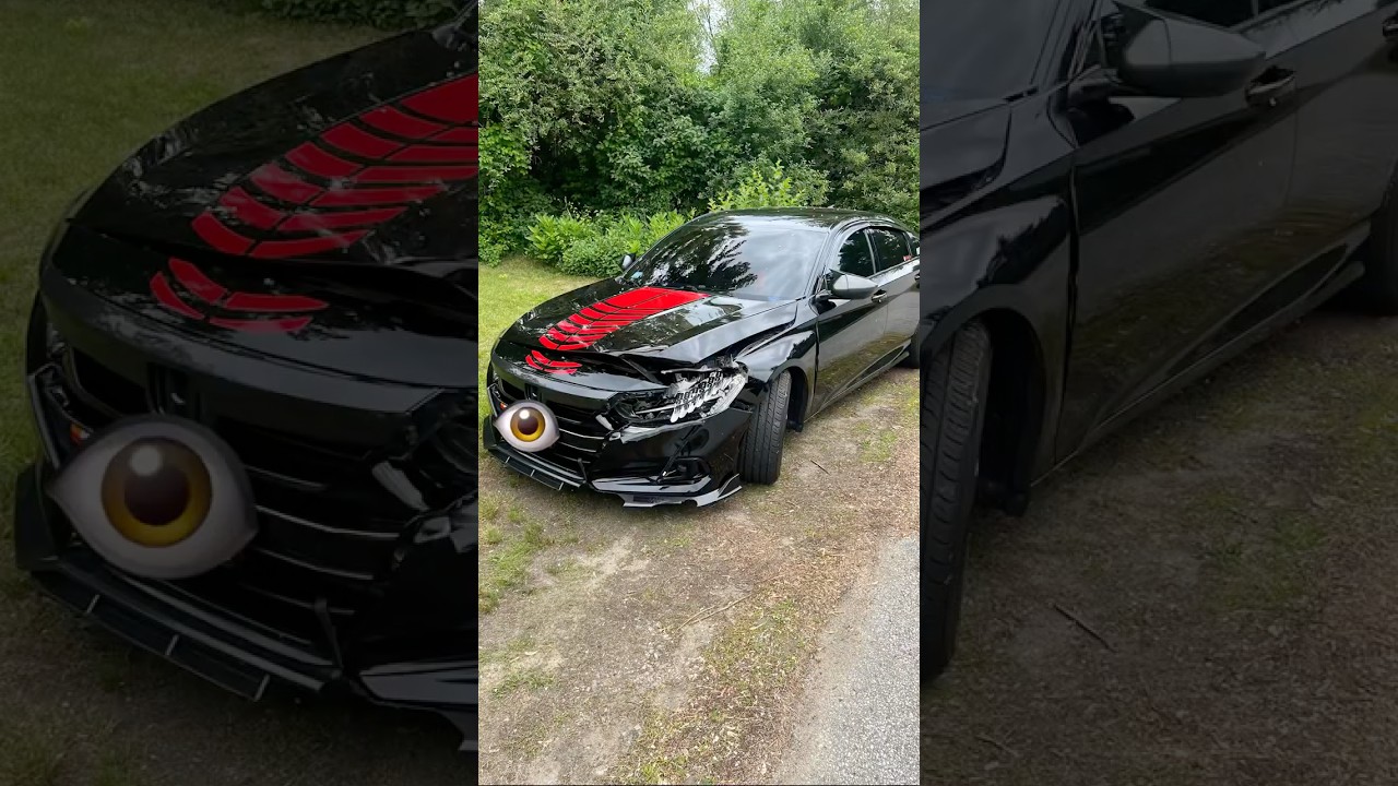 This is the price for hitting a deer while going 80 MPH (129km/h)on the highway 😱😱😱