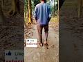 অসাধারণ প্রকৃতি #rasel_bd_vlogs #minivlog #shortvideo