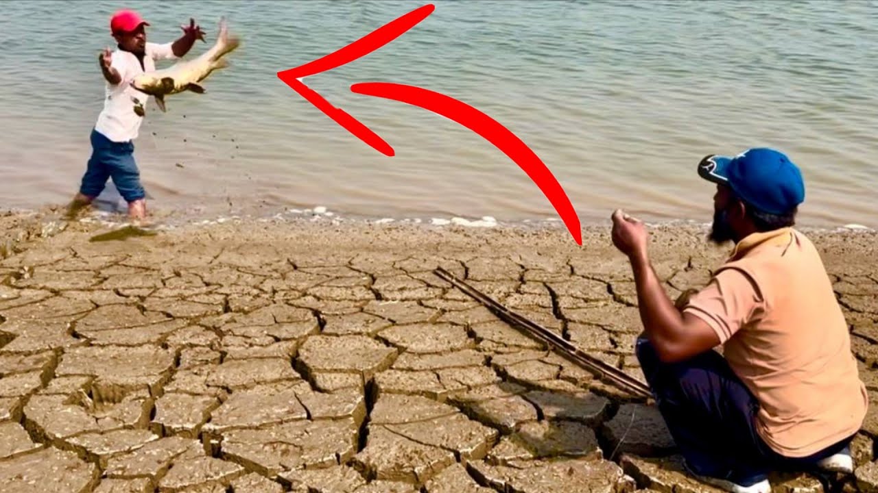 New fishing videos | river Fishing video | Fishing | best fishing Bait and techniques 