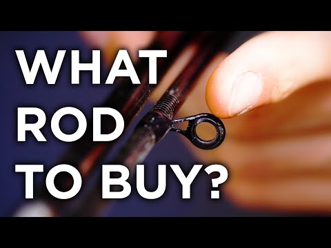 What Fishing Rod Do You Need? Rod Types and Where to Use Them