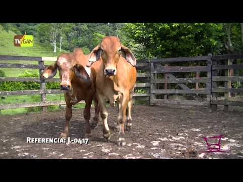 2014        365      0417