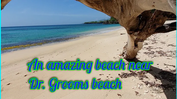 An Amazing Beach, Grenada, St. George.  A thrillin...