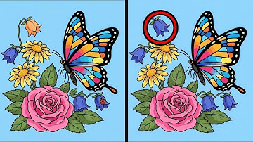 Find The Differences Challenge (1 Hour Special) #28