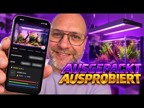 Setting up Chihiros LEDs via app – How to get the most out of your lighting