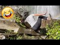 Try Not To Laugh 🤣 Top 100 Funniest Videos Ever 😆😂 Memes, Epic Fails & Pranks Compilation Part 14