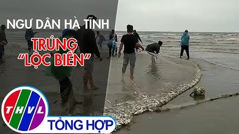 Ngư dân Hà Tĩnh trúng “lộc biển”