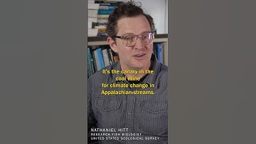 Fishing with Artificial Intelligence | #science #uva #fish #datascience