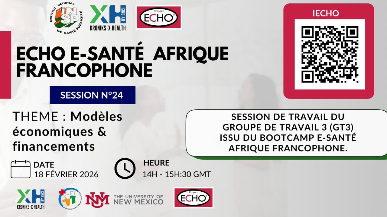 ECHO E-SANTÉ AFRIQUE FRANCOPHONE N°24 : Modèles économiques & financements / Suite GT3 BOOTCAMP