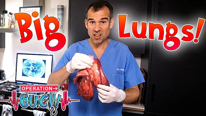 How Big are your Lungs? 🧐 | Experiments at Home | Full Episodes | Operation Ouch