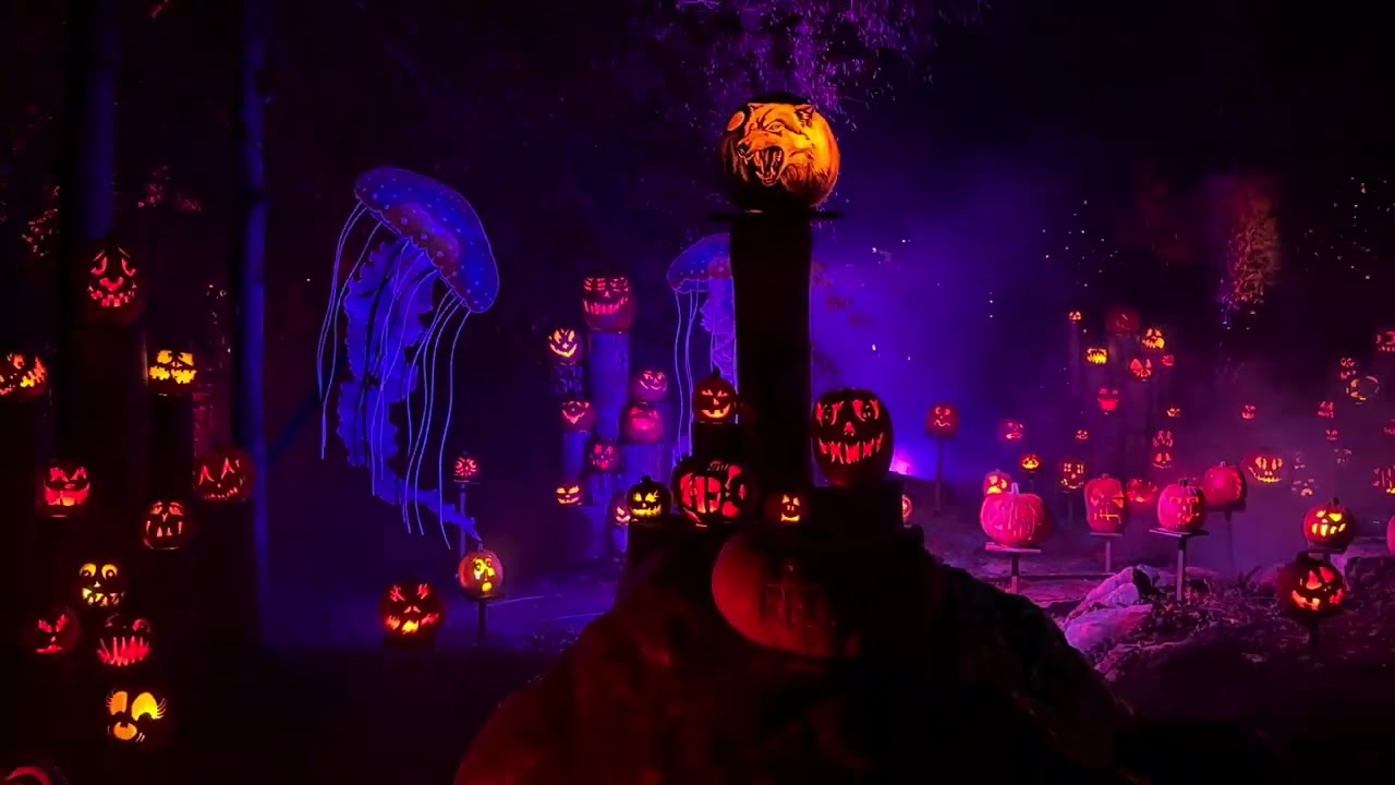 Halloween Jack-o’-lantern Spectacular Roger Williams Park Providence RI 2025 🎃 