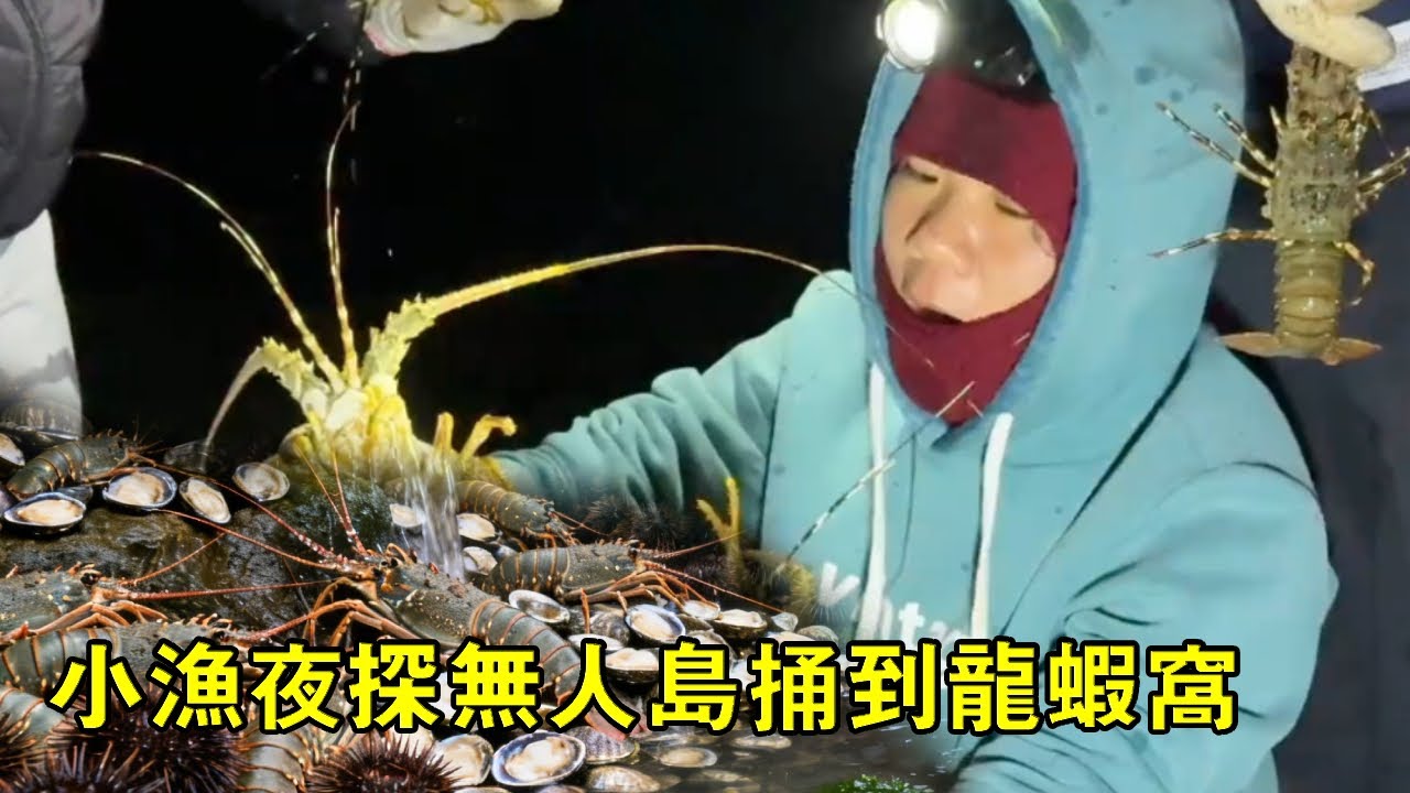 小漁夜探無人島！海膽海螺撿到手軟，還端了一窩龍蝦【漁小仙】