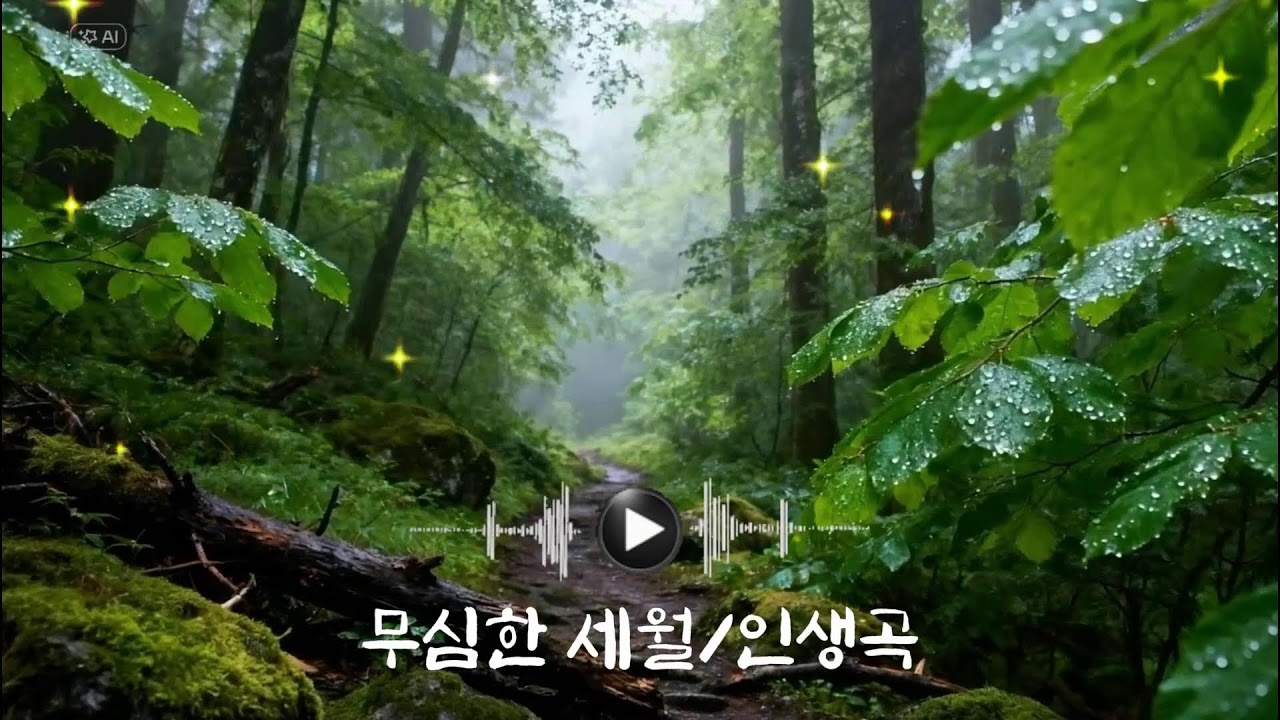 무심한 세월/인생곡