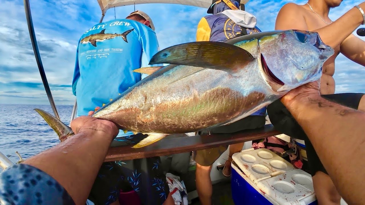 LA PÊCHE DU THON sur l’île de la RÉUNION!🇷🇪 