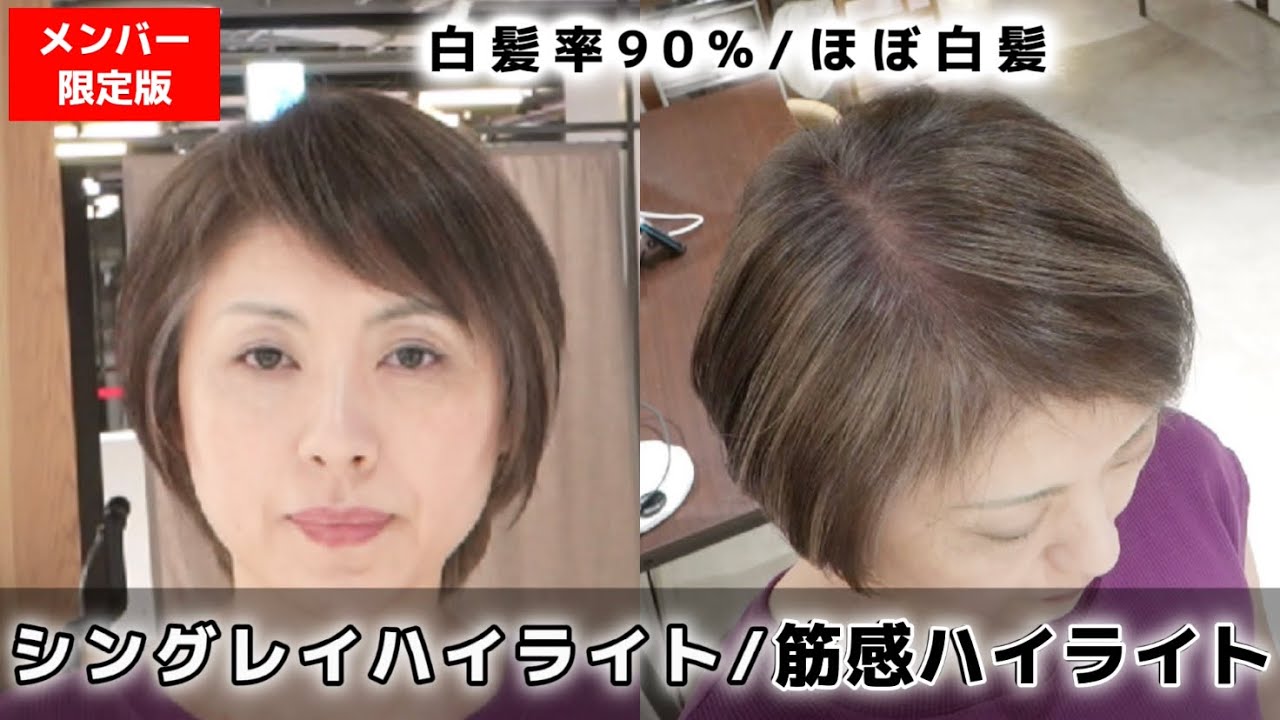 6 Tone/Textured Highlights] How to highlight and blur gray hair