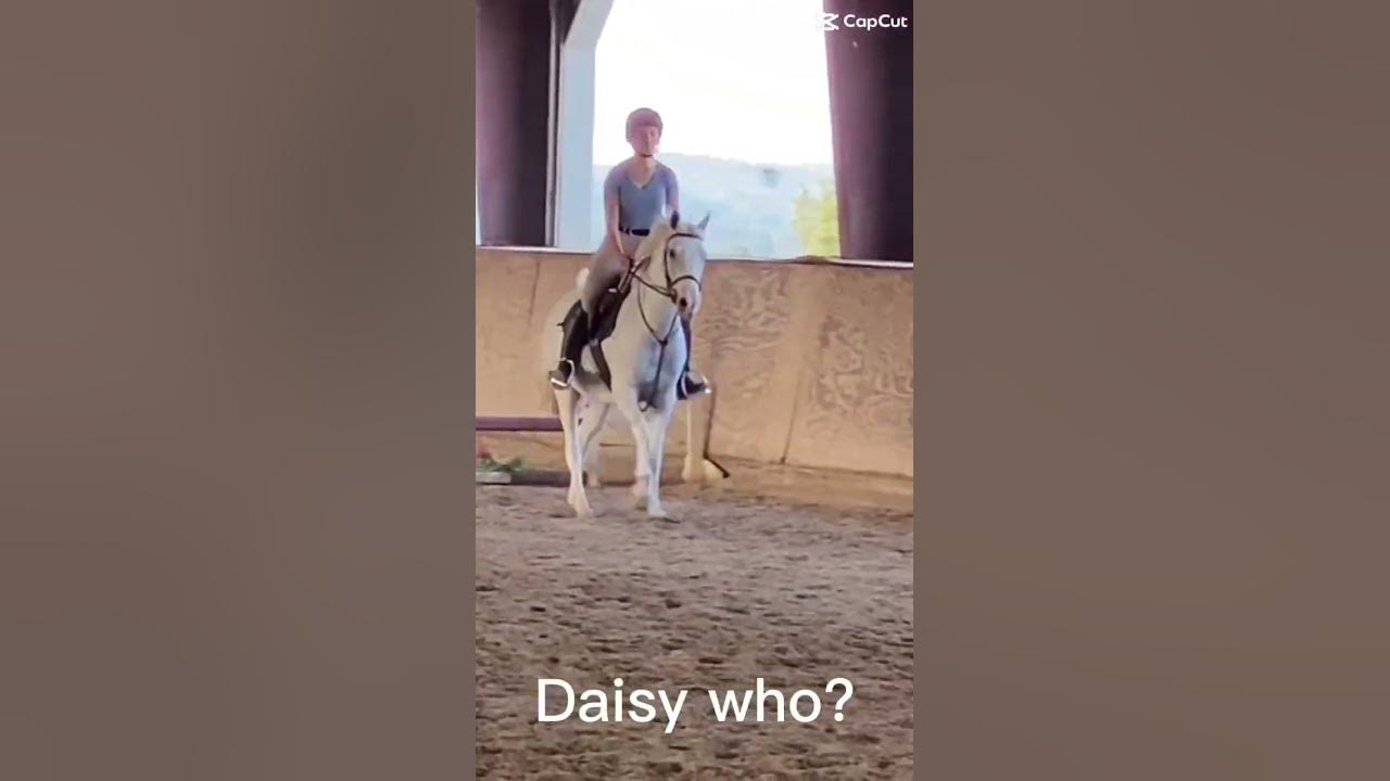 bruhhh this is perfect audio, her legit name is Daisy!! daisy