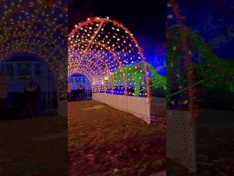 اكسبلور أمريكا اليمن Smartphone ترند لايك اشتراك بالقناه ليصلك كل جديد لايك 2026