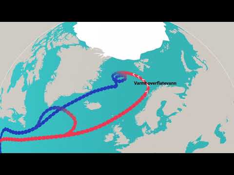 Video: Hva Vil Skje Med Russland Hvis Golfstrømmen Avkjøles - Alternativ Visning