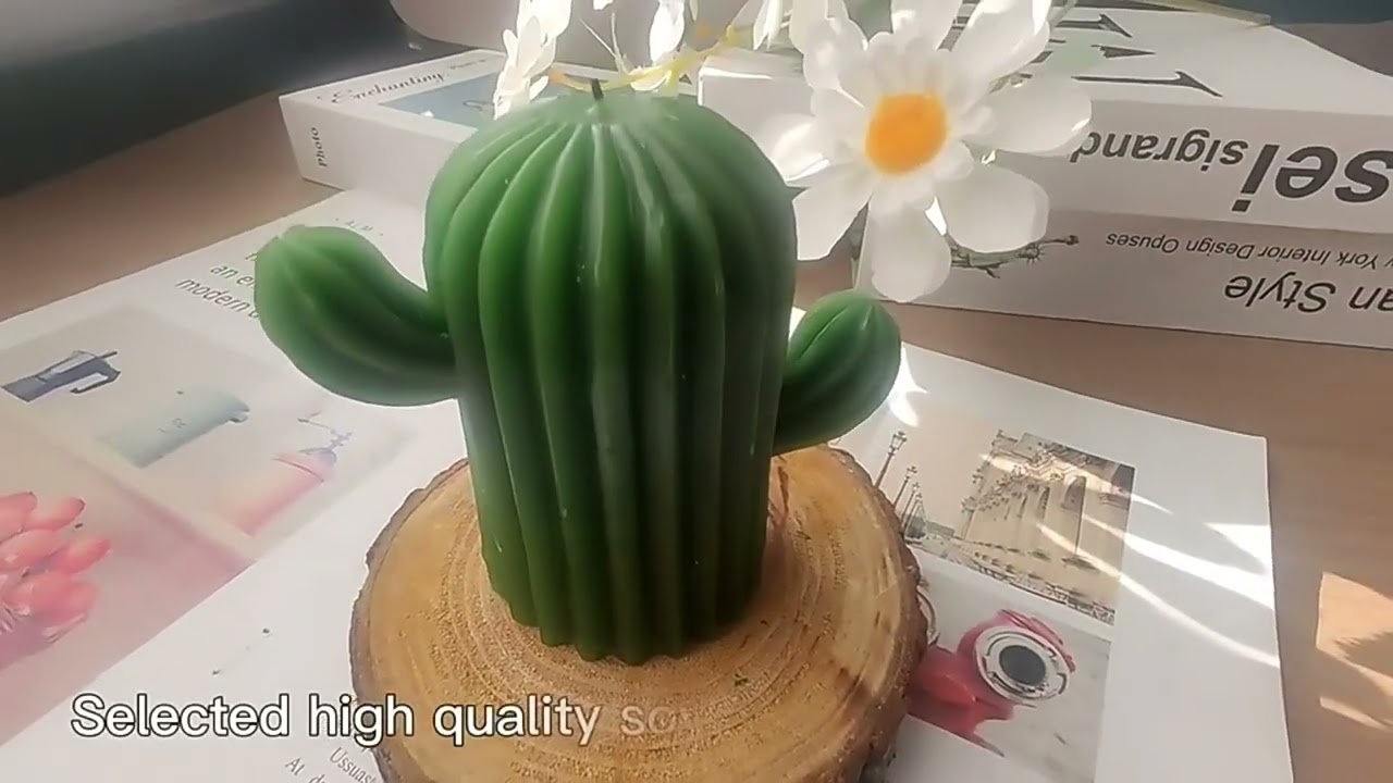 cactus candles in bulk