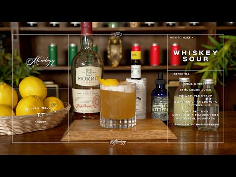 How To Make A Whiskey Sour | Classic Cocktail Recipe | Vegan Friendly