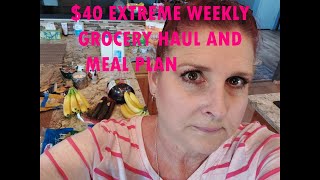 $40 EXTREME WEEKLY GROCERY HAUL AND MEAL PLAN ON A BUDGET FAMILY OF THREE ADULTS