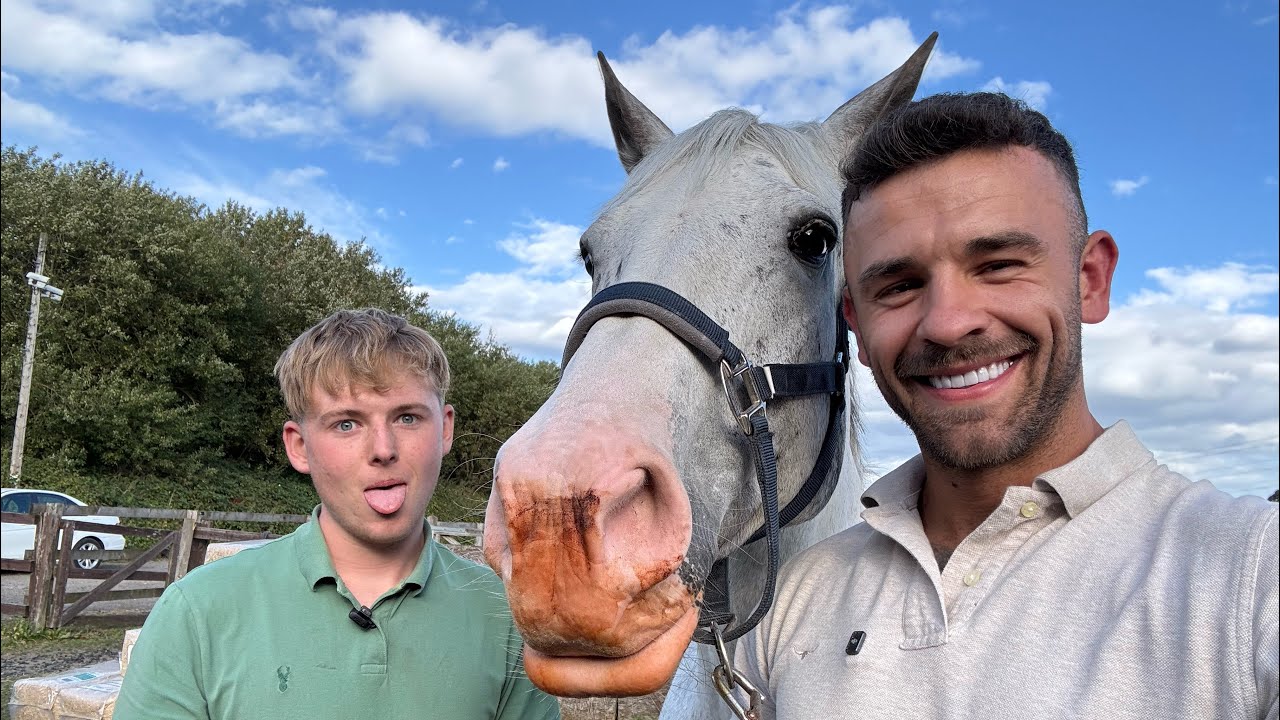 Indy’s Road to Recovery! how I fit her Suspensory Horseshoe 