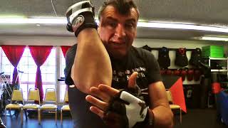 Rhino defense against punches