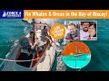 Have you met New Sailing YouTubers &#39;Chasing Currents&#39; ?