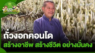 ถั่วงอกคอนโด สร้างอาชีพ สร้างชีวิต อย่างมั่นคง | พอดีพอเพียง | วันใหม่วาไรตี้