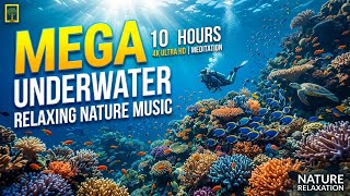 Ocean Drift Harmony ๐ โข Soothing Relaxation Music for Sleep ๐ด โข Gentle Ambient Flow ๐