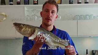"Kend din Fisk" TORSK - Ceviche (2 del)