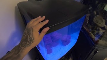 New biocube 32g day 1 :)