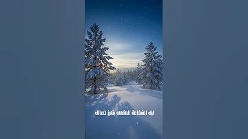 كلما اقترب المولد النبوي الشريف ازدادت الأرواح عشق ا لمدح النبي ﷺ 