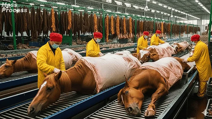 Inside Modern Horse Leather Factory: From Raw Hide to Luxury Product (Full Process)