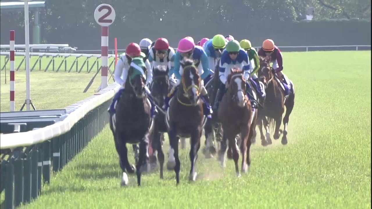 2018 Tenno Sho-Spring (G1)