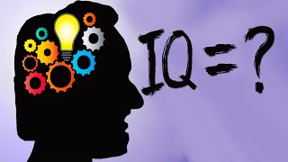 Хаппа проходит IQ Тест