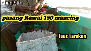 Proses cara pasang Rawai ikan 150 mancing di laut Tarakan