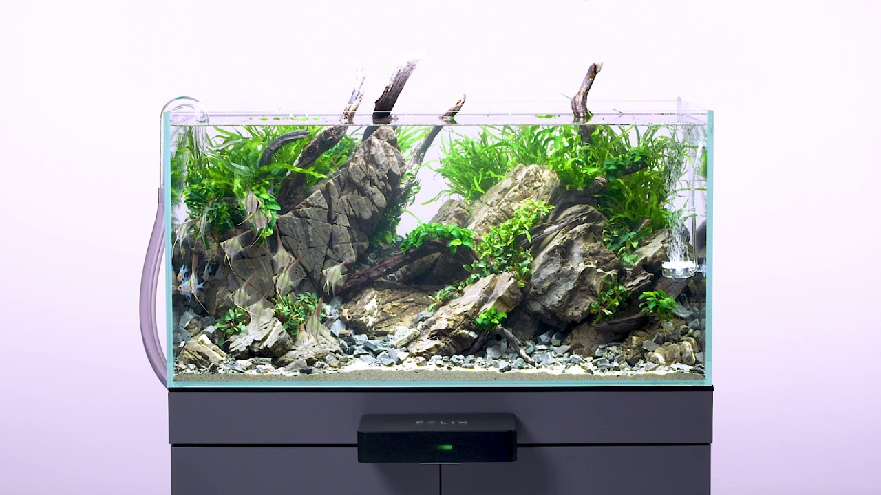 felix smart aquarium