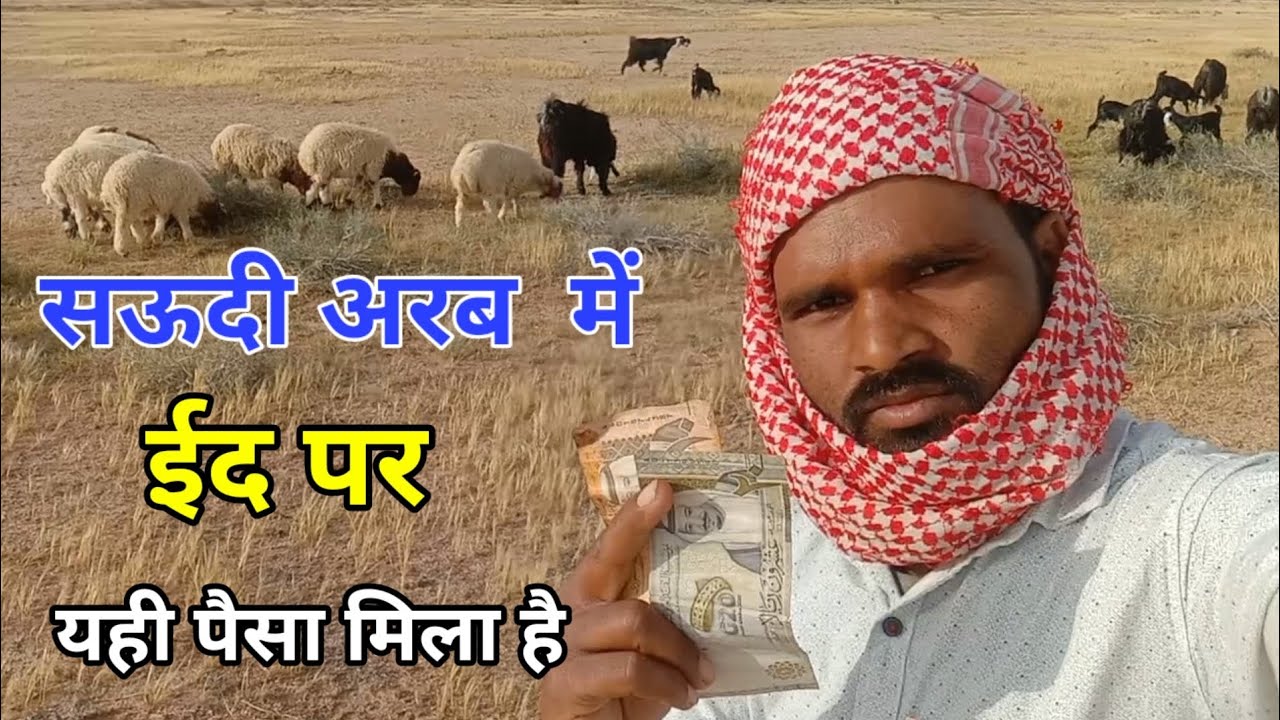 सऊदी अरब में ईद पर यही पैसा मिला बकरी चराने वाले को | chandan good info | chandan Saudi Arab |