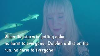 vse delfiny v uragan English version