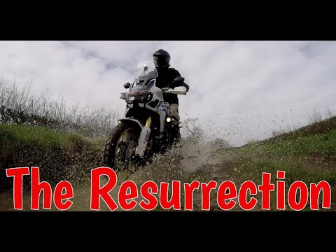 The Resurrection