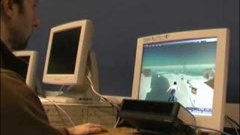 Eye Gaze Interaction with Second Life