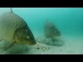 HAVE YOU SEEN THIS UNDERWATER FILM FROM BLED??