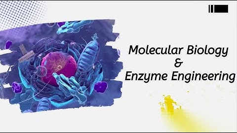 From Science Fiction to Reality: Discovering Molecular Biology and Enzyme Engineering