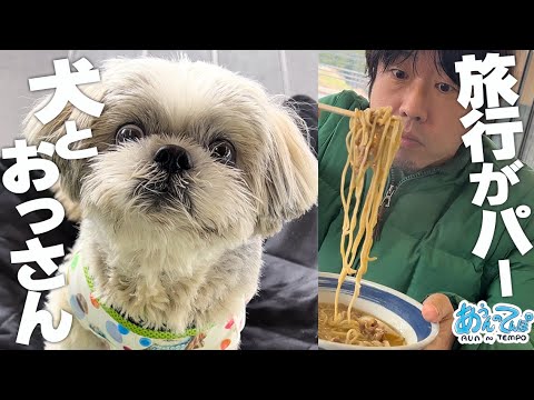 企画してた旅行が全てパーになった犬とおっさんの1日…