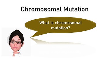 Chromosomal Structure (Chromosomal Aberration)