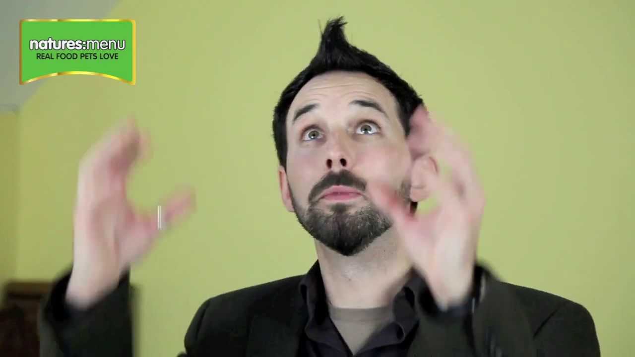 raw cat food brand How Does Diet Affect Your Dogs Behaviour?