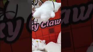 Winning A Cat At The Lucky Claw In Birmingham