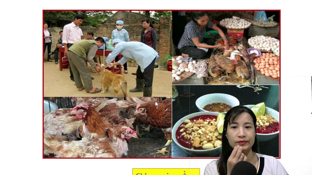 sự đa dạng và phong phú của các loài động vật 6