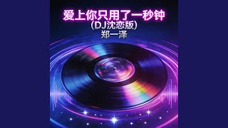 爱上你只用了一秒钟(DJ沈恋版)