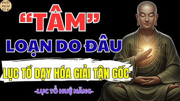 TÂM LOẠN DO ĐÂU? LỤC TỔ HUỆ NĂNG CHỈ CÁCH GIẢI TẬN GỐC GIỮ TÂM AN GIỮA ĐỜI ĐỘNG | PHẬT PHÁP TỪ BI